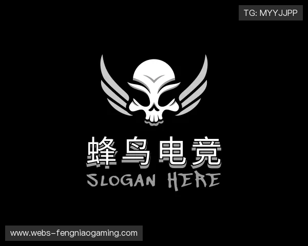 介绍蜂鸟电竞中心